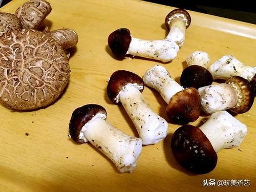 娱乐吃瓜菌没有哪一个,揭秘娱乐圈那些不为人知的幕后故事  第2张